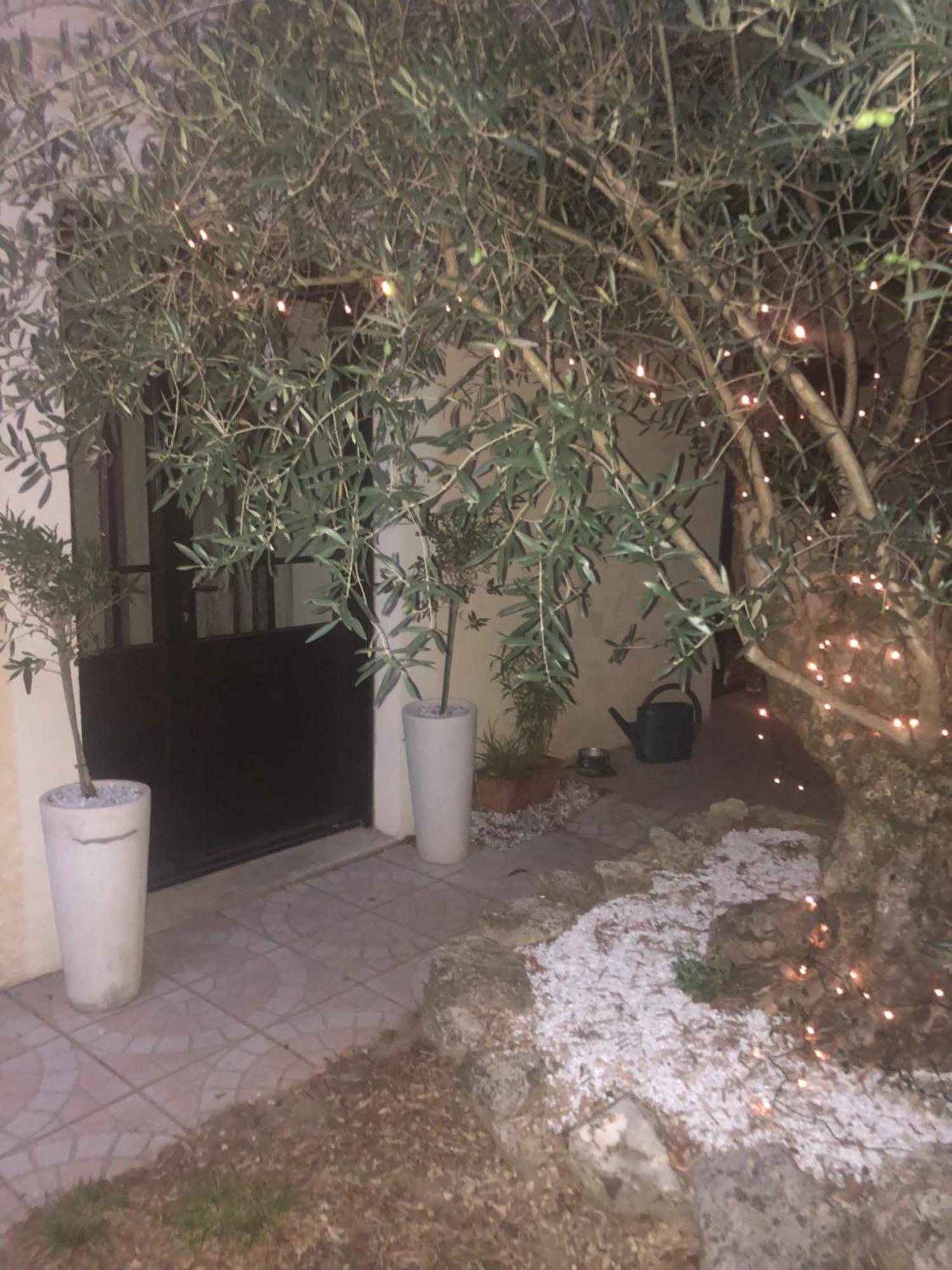 Une Ferme En Ville Bron Dış mekan fotoğraf